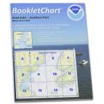 NOAA BookletChart 16640: Cook Inlet-Southern Part