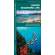Hawaii Seashore Life (Folding Pocket Guide)