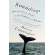 Soundings: Journeys in the Company of Whales: A Memoir