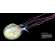 Planktonia: The Nightly Migration of the Ocean's Smallest Creatures - Book