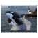 Marine Wildlife of the Pacific Northwest 2025 Calendar