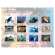 Marine Wildlife of the Pacific Northwest 2025 Calendar