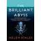 The Brilliant Abyss: Exploring the Majestic Hidden Life of the Deep Ocean, and the Looming Threat That Imperils It - Book