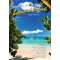 The Cruising Guide to the Northern Leeward Islands 2025-2026 edition - Book